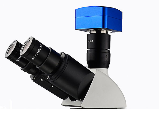 Люминесцентный микроскоп УМТ203и переданного света чистосердечный для судебнохимических лабораторий
